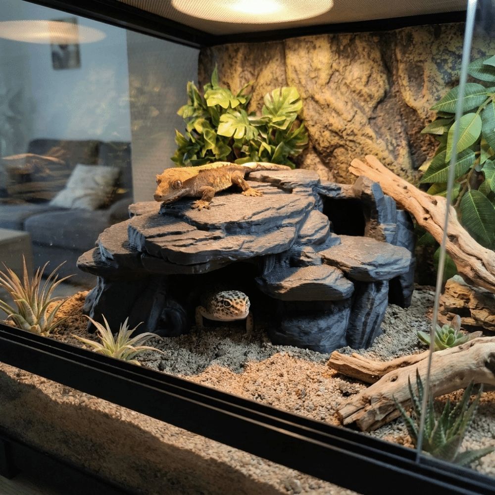 3D-gedruckte Fischbecken-Felse – Aquarium Marine Rock Bewertung und Preis