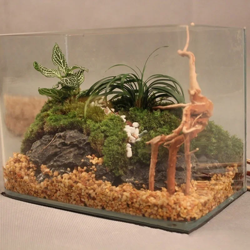 Natürlicher Baumstamm Treibhol – Aquarium Marine Rock Bewertung und Preis