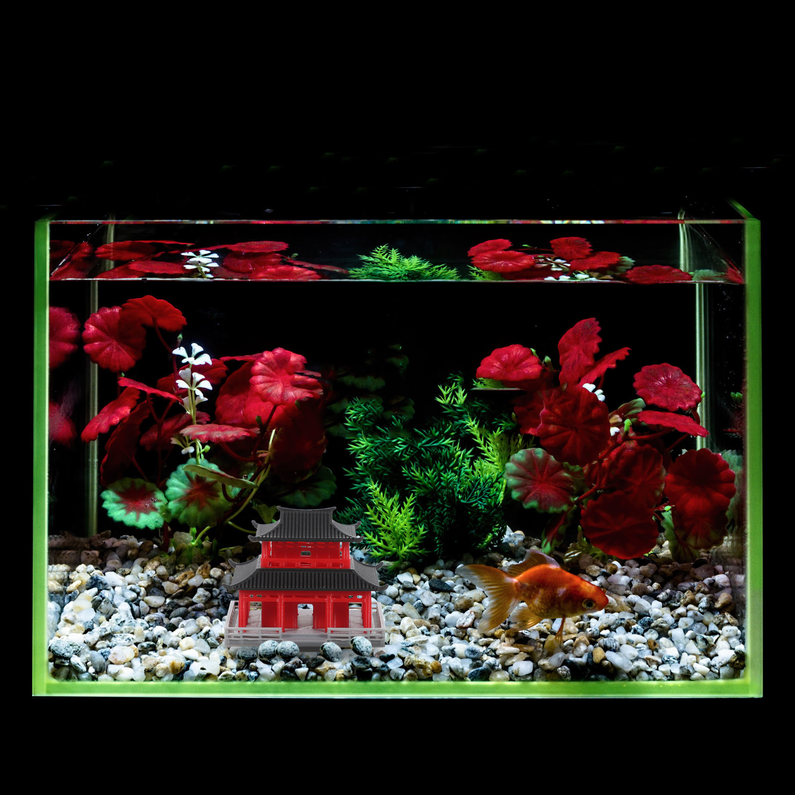 Chinesischer Antiker Pavillon  – Aquarium & Marine Museum Universiti Malaysia Sabah Kota Kinabalu Sabah Bewertung und Preis