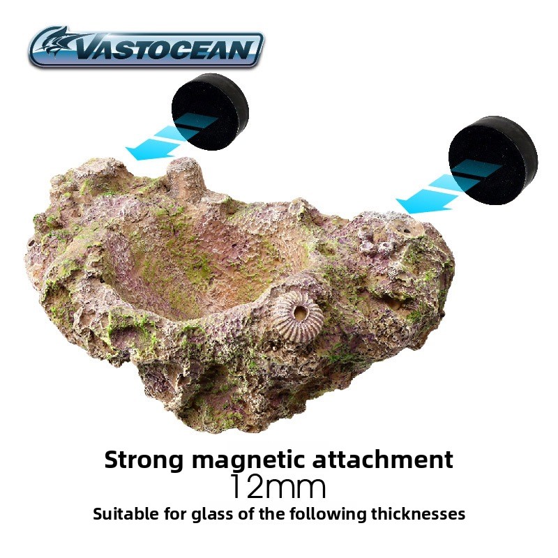 VASTOCEAN Magnetischer Anemone – Aquarium Marine Rock Bewertung und Preis