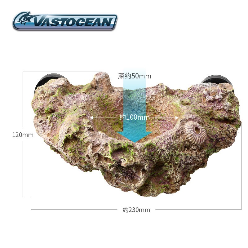VASTOCEAN Magnetischer Anemone – Aquarium Marine Rock Bewertung und Preis
