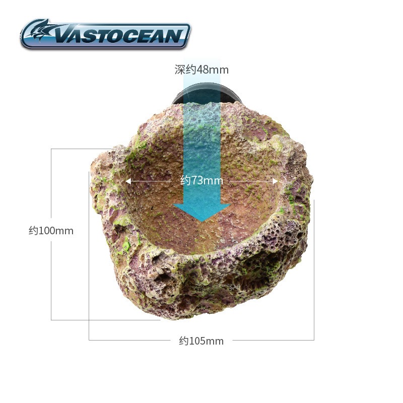 VASTOCEAN Magnetischer Anemone – Aquarium Marine Rock Bewertung und Preis