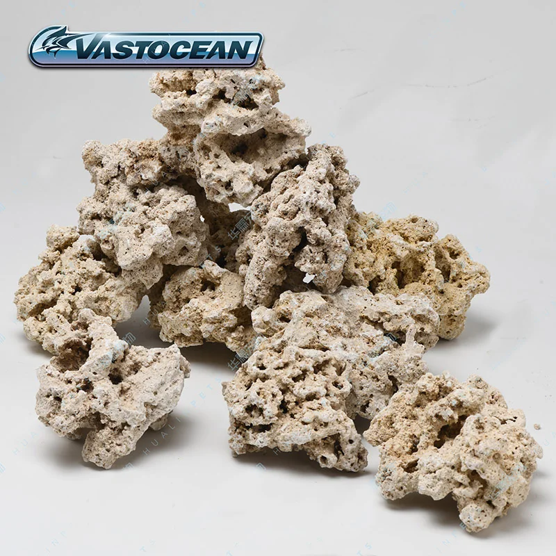 Vasto cean Indonesien Java Dry – Aquarium Marine Rock Bewertung und Preis
