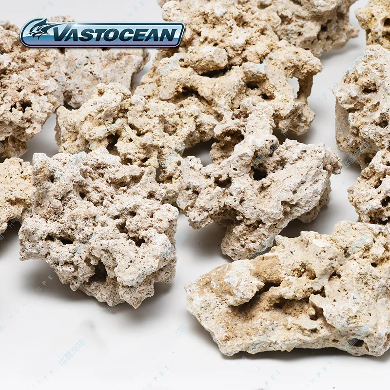 Vasto cean Indonesien Java Dry – Aquarium Marine Rock Bewertung und Preis