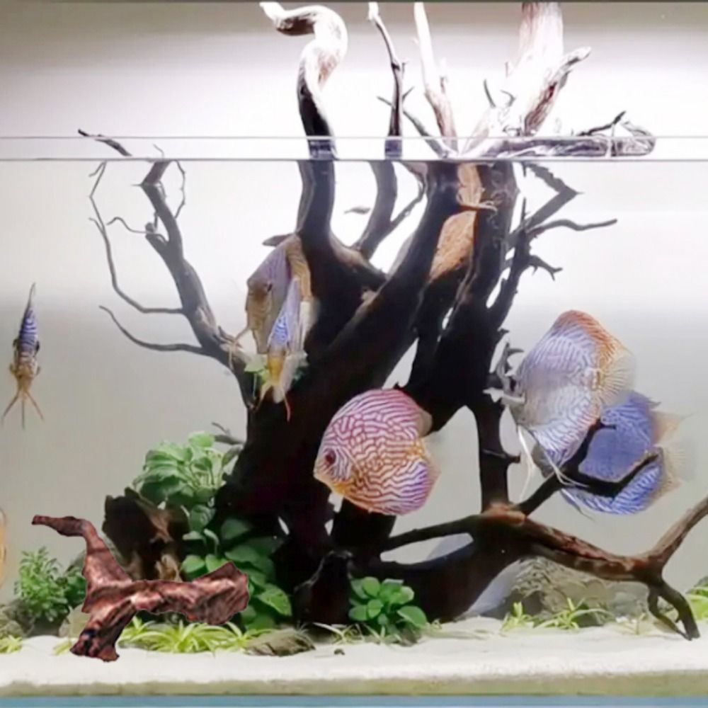 Kreative Unregelmäßige Form Ko – Aquarium Marine Rock Bewertung und Preis