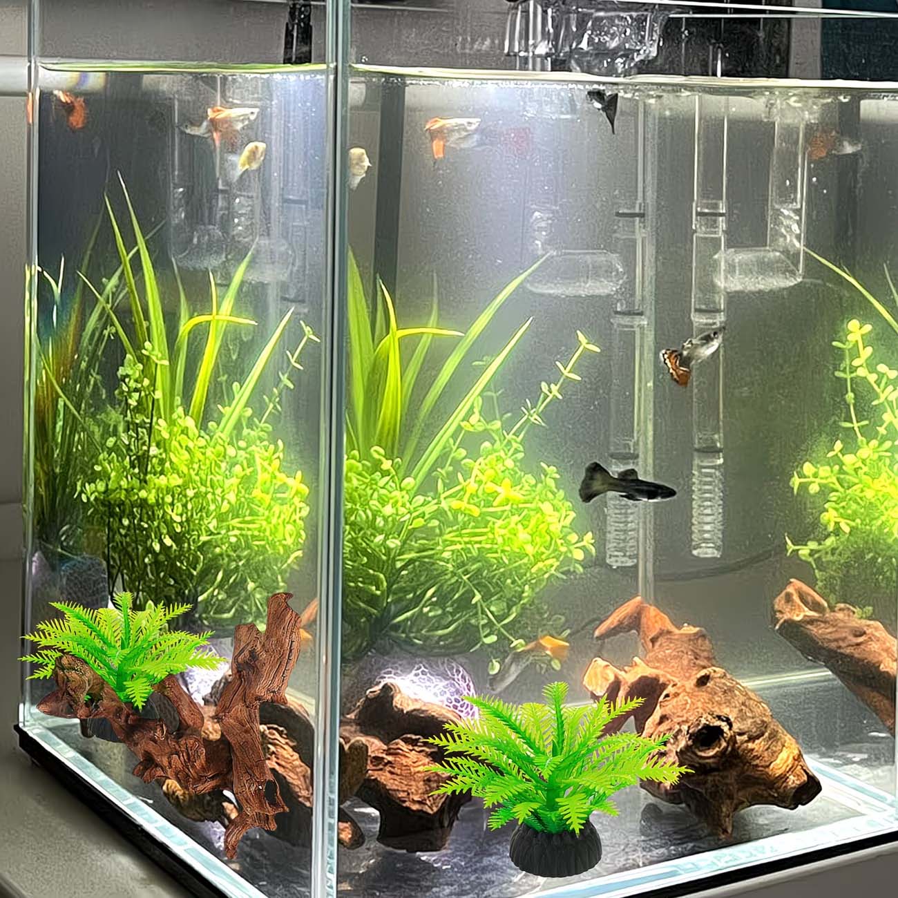5-10CM Natürliches Sinkbares T – Aquarium Marine Rock Bewertung und Preis