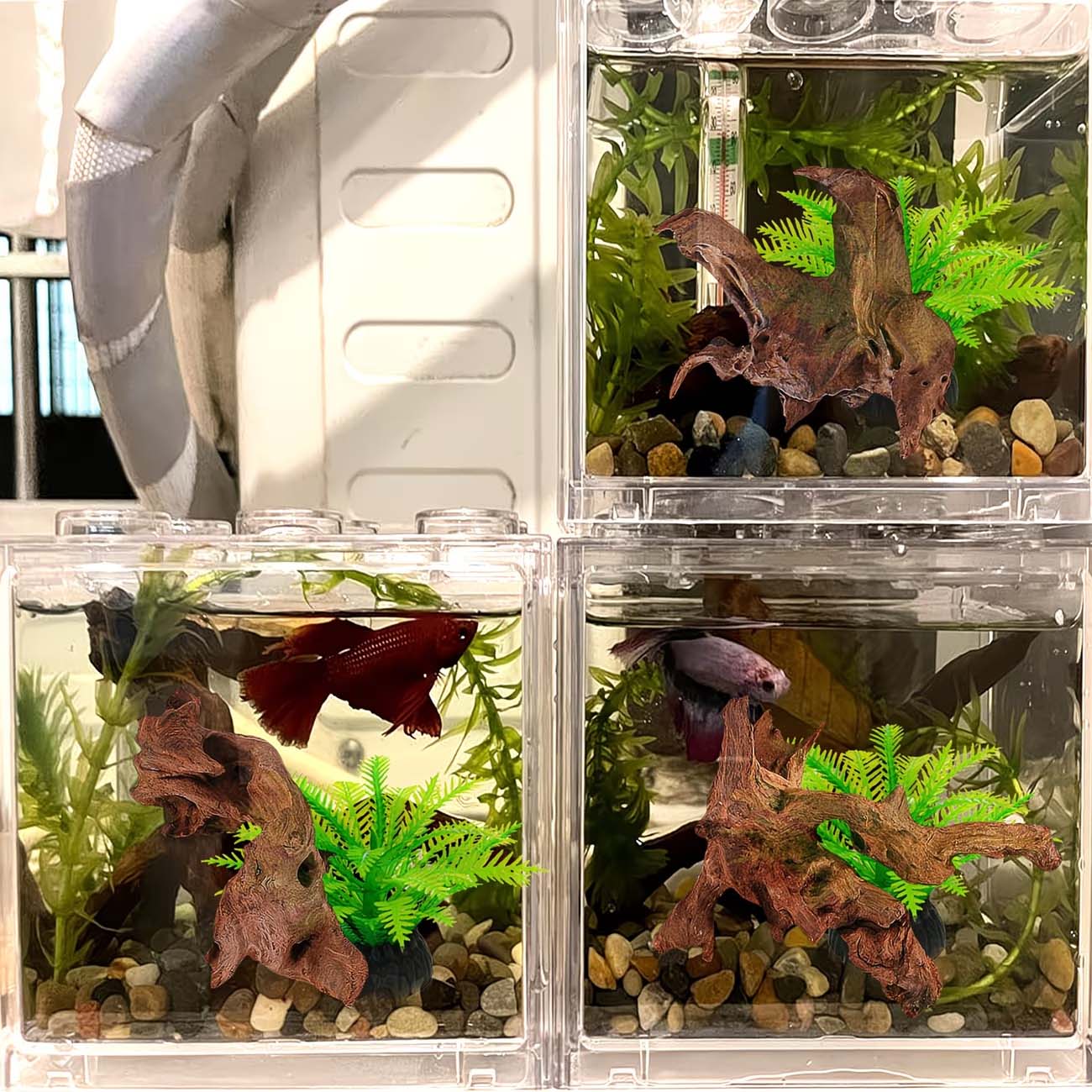 5-10CM Natürliches Sinkbares T – Aquarium Marine Rock Bewertung und Preis