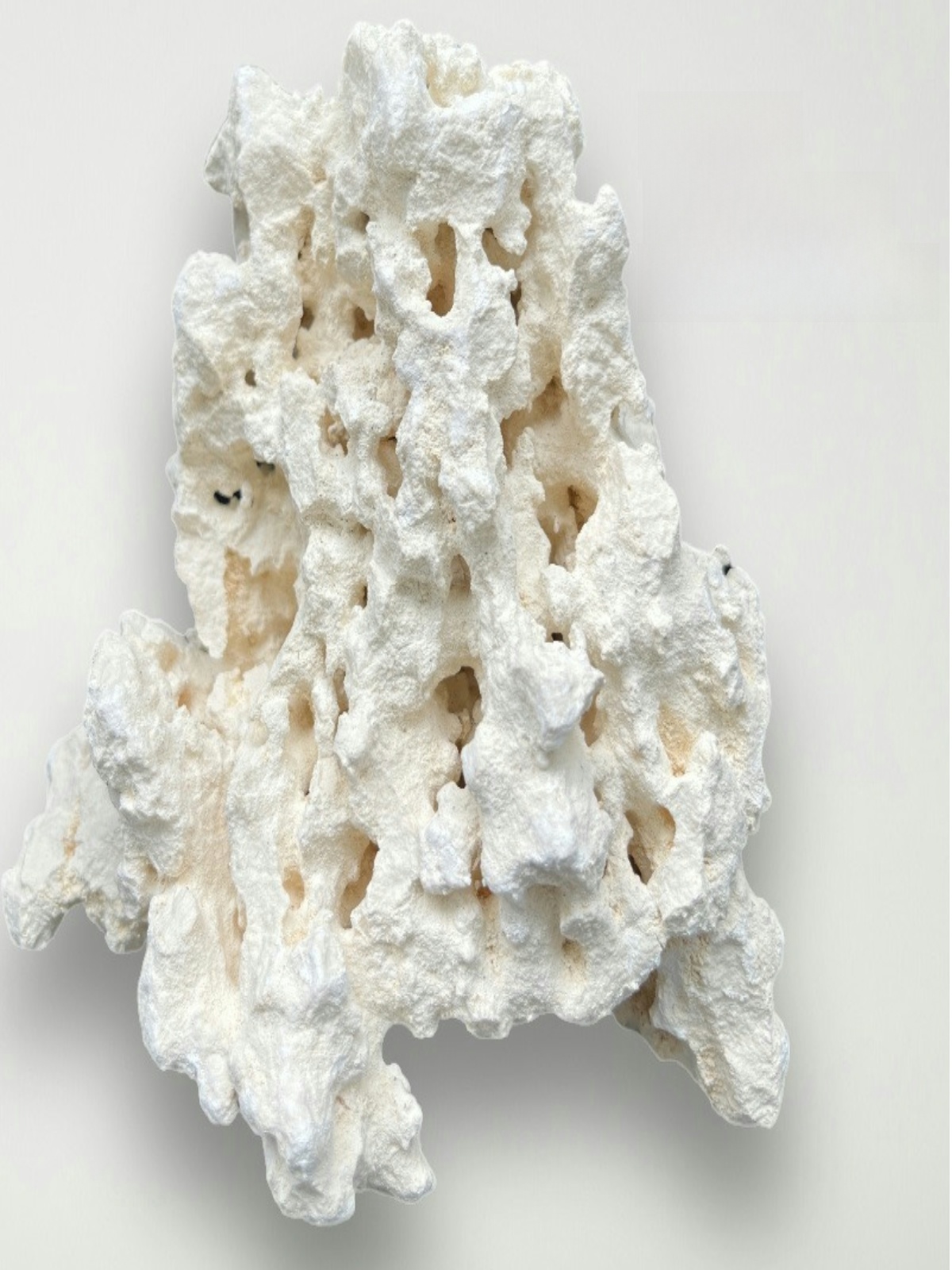 Kilago Trockener Naturkorallen – Aquarium Marine Rock Bewertung und Preis